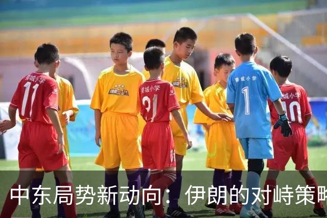 中东局势新动向：伊朗的对峙策略与美以关系的复杂性
