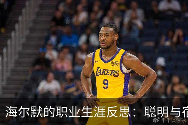 海尔默的职业生涯反思：聪明与宿命的交错